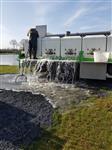 Nieuwe vis